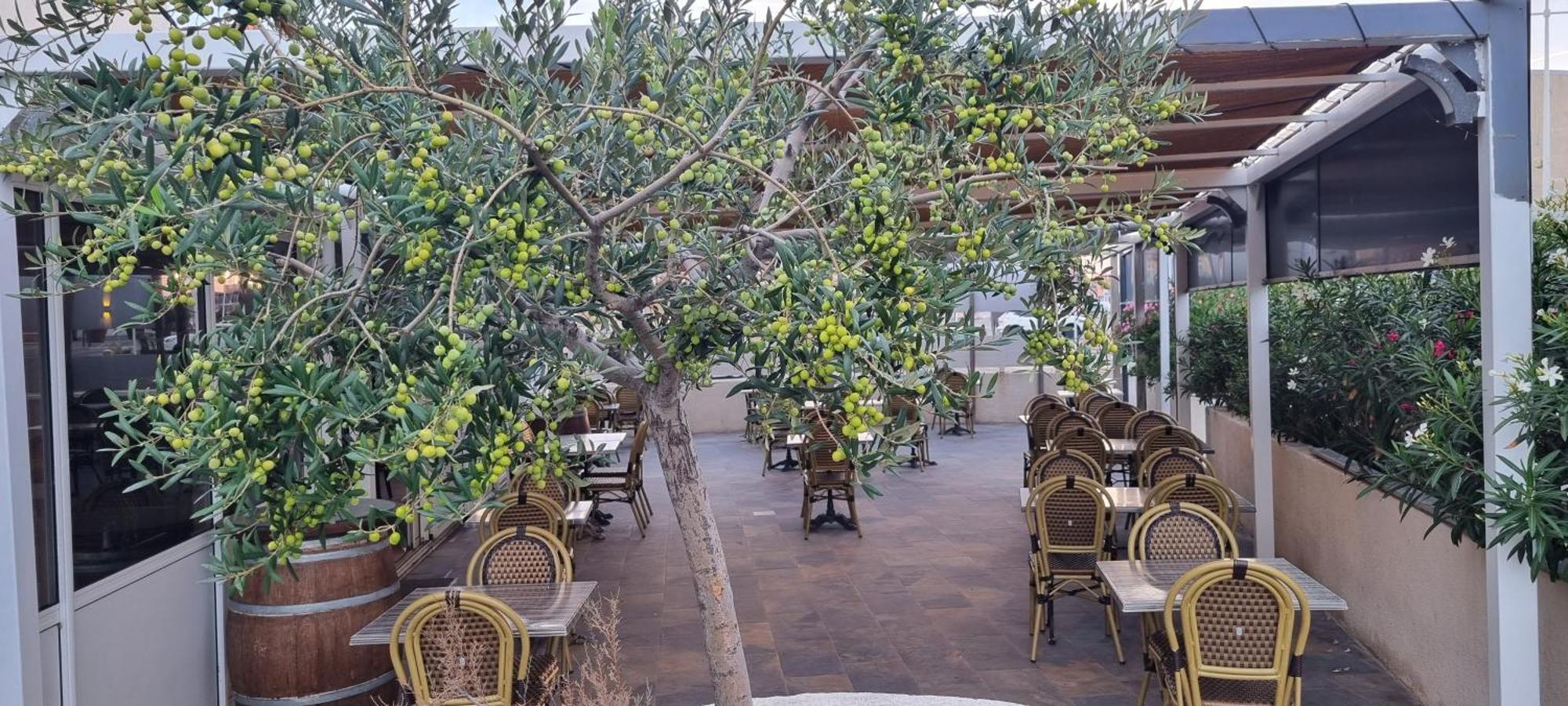 Hotel Restaurant Calypso Fos-sur-Mer Exterior photo
